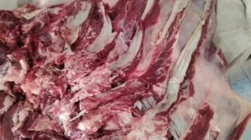 محافظ أسيوط: حملات تموينية تضبط لحوما وسلعا غذائية غير صالحة