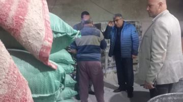 محافظ الدقهلية يتفقد المخابز بمراكز المنصورة وطلخا ومحلة دمنة محافظ الدقهلية يتفقد المخابز بمراكز المنصورة وطلخا ومحلة دمنة