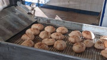 محافظ المنوفية يتابع جهود التموين في إحكام الرقابة علي الأسواق ويؤكد تحرير 243 محضر مخالفات مخابز محافظ المنوفية يتابع جهود التموين في إحكام الرقابة علي الأسواق ويؤكد تحرير 243 محضر مخالفات مخابز