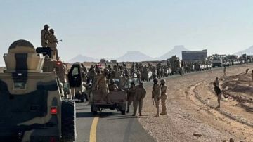 اليمن.. قوات درع الوطن تحبط محاولة تهريب أسلحة منهوبة وتضبط المتورطين اليمن.. قوات درع الوطن تحبط محاولة تهريب أسلحة منهوبة وتضبط المتورطين