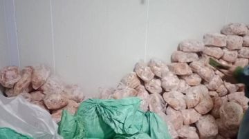 ضبط 300 كيلو بانيه دجاج مجهول المصدر في حملة تموينية بشبين القناطر