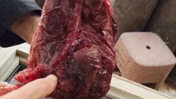 ضبط لحوم ودواجن غير صالحة خلال حملات رقابية على الأسواق بالغردقة