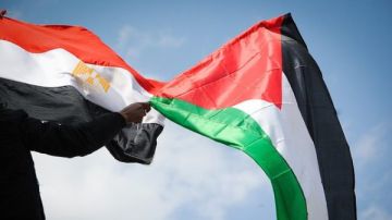 مدير مركز المتوسط للدراسات الإقليمية: مصر تسعى لتثبيت الاستقرار ودعم الحقوق الفلسطينية