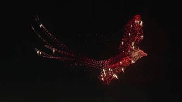 دخل موسوعة جينيس.. عرض اسطوري للطائرات في سماء رأس الخيمة 2026