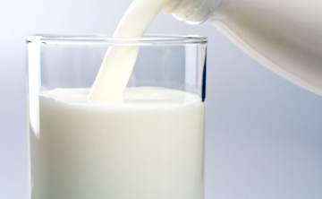 سماح نوح توضح الفرق بين اللبن البقري والجاموسي للأطفال