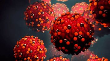 أصاب 90 شخصا.. فيروس خطير يتفشى على متن سفينة سياحية أمريكية أصاب 90 شخصا.. فيروس خطير يتفشى على متن سفينة سياحية أمريكية