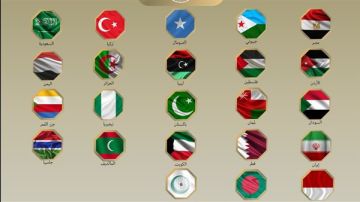 بيان عاجل لمصر و21 دولة بعد زيارة مسؤول إسرائيلي لأرض صومالية: التوترات تتفاقم في منطقة هشة