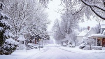 ترامب يعلن حالة الطوارئ في عدد من الولايات الأمريكية بسبب عاصفة ثلجية