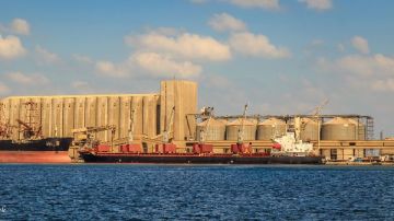 ميناء دمياط يستقبل 60 ألف طن قمح في سفينة قادمة من روسيا