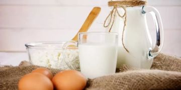 أسعار البيض والألبان اليوم الأربعاء 14 يناير