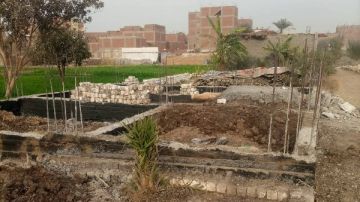 إزالة 22 حالة تعد واسترداد 600 فدان أراضي زراعية في أسيوط