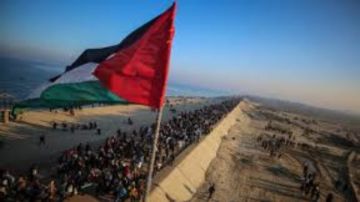 السفير محمد حجازي: مجلس السلام ليس بديلا للأمم المتحدة ويعمل بالتنسيق معها