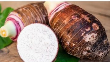 في عيد الغطاس هذه الفوائد تحدث للجسم عند تناول القلقاس