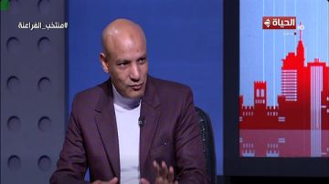 ماهر فرغلي: الانقسامات تعصف بصفوف الإخوان في الخارج فيديو