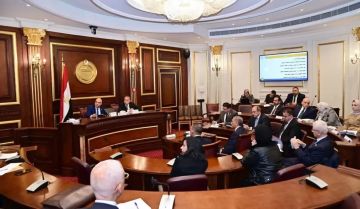 الدكتور سويلم يشارك في جلسة لجنة الشئون الخارجية والعربية والأفريقية بمجلس الشيوخ