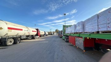 الهلال الأحمر يدفع بـ 118 ألف سلة غذائية و30 ألف قطعة ملابس شتوية عبر قافلة زاد العزة 112 إلى غزة الهلال الأحمر يدفع بـ 118 ألف سلة غذائية و30 ألف قطعة ملابس شتوية عبر قافلة زاد العزة 112 إلى غزة