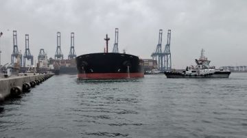 ميناء دمياط يستقبل أكبر حمولة بضائع عامة في تاريخه صور