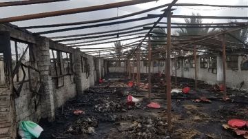 نفوق 3 آلاف كتكوت في حريق مزرعة دواجن بالمنوفية نفوق 3 آلاف كتكوت في حريق مزرعة دواجن بالمنوفية