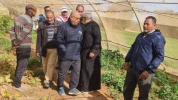 وكيل زراعة الوادى الجديد يتفقد الزراعات الشتوية