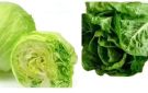 أيهما أفضل للصحة.. الكابوتشا أم الخس البلدي؟