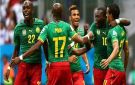 كأس الأمم الأفريقية الكاميرون تتقدم على جنوب أفريقيا 1-0 في الشوط الأول - eg