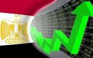 فيتش سوليوشنز تتوقع ارتفاع الاستثمار في مصر.. وزيادة دور القطاع الخاص - eg