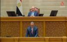 فوزي: مصر نجحت في ترسيخ مبدأ تداول الدورات البرلمانية بانتظام منذ 2015
