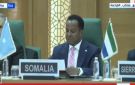 وزير خارجية الصومال: نرفض أي إجراءات او تدابير لتهجير الفلسطينيين - eg