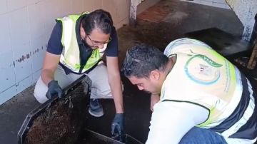 الغربية: ضبط 16.5 طن زيت وملح غير صالح ومخالفات تصنيع وتخزين الغربية: ضبط 16.5 طن زيت وملح غير صالح ومخالفات تصنيع وتخزين