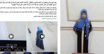 ضبط مسجلة خطر سرقت ملابس من شرفة مسكن بالمحلة الكبرى ضبط مسجلة خطر سرقت ملابس من شرفة مسكن بالمحلة الكبرى