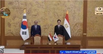 طارق البرديسي: مصر تحجز مقعدها في النظام الدولي الجديد طارق البرديسي: مصر تحجز مقعدها في النظام الدولي الجديد