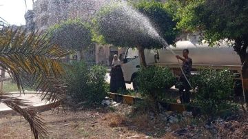 انطلاق حملات مكافحة الحشرات الطائرة بعزبة البرح في دمياط انطلاق حملات مكافحة الحشرات الطائرة بعزبة البرح في دمياط