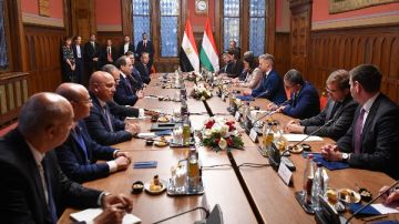 السيسي وماچار يبحثان التعاون في الطاقة والغاز وفرص الاستثمار بمنطقة قناة السويس
