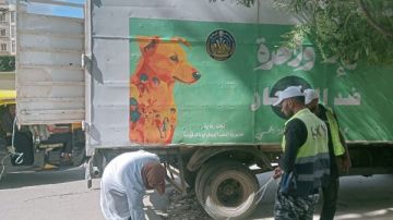 الدقهلية.. تكثيف الحملات بالمناطق الأكثر تعرضا لانتشار الكلاب الضالة الدقهلية.. تكثيف الحملات بالمناطق الأكثر تعرضا لانتشار الكلاب الضالة