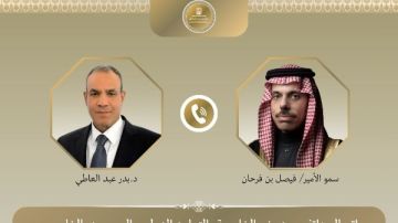 وزيرا خارجية مصر والسعودية يبحثان جهود منع التصعيد في المنطقة