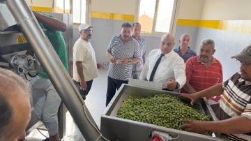 زيتون سيناء يدخل مرحلة جديدة.. وزير الزراعة يطلق تشغيل معصرة النثيلة لدعم المزارعين زيتون سيناء يدخل مرحلة جديدة.. وزير الزراعة يطلق تشغيل معصرة النثيلة لدعم المزارعين