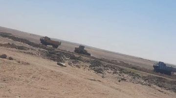 إزالة حالة تعد من المهد على مساحة 5 أفدنة بمركز باريس في الوادي الجديد