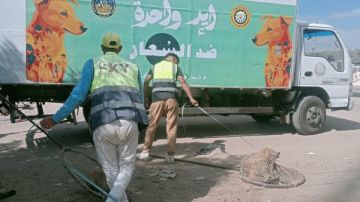 حملة مواجهة الكلاب الضالة بالدقهلية تصل طلخا حملة مواجهة الكلاب الضالة بالدقهلية تصل طلخا