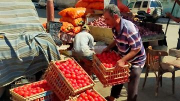 بورسعيد.. تكثيف حملات النظافة ورفع المخلفات وإزالة الإشغالات والتعديات بورسعيد.. تكثيف حملات النظافة ورفع المخلفات وإزالة الإشغالات والتعديات