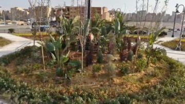 محافظ القاهرة: 10 ملايين جنيه مساهمة من البنك الأهلي المصري لدعم مبادرة تخضير القاهرة محافظ القاهرة: 10 ملايين جنيه مساهمة من البنك الأهلي المصري لدعم مبادرة تخضير القاهرة
