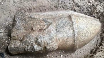 أول رد.. مدير آثار الغربية يكشف تفاصيل العثور على تمثالين ملكيين بقرية بهبيت الحجارة أول رد.. مدير آثار الغربية يكشف تفاصيل العثور على تمثالين ملكيين بقرية بهبيت الحجارة