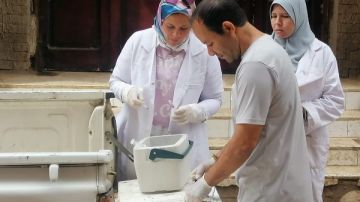 استجابة لشكاوى الأهالي.. محافظ الغربية يوجه بتكثيف حملات التوعية والتحصين ضد مرض السعار.. والطب البيطري تنجح في تحصين 610 كلاب حرة بالمجان استجابة لشكاوى الأهالي.. محافظ الغربية يوجه بتكثيف حملات التوعية والتحصين ضد مرض السعار.. والطب البيطري تنجح في تحصين 610 كلاب حرة بالمجان