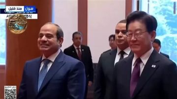 تفاصيل لقاء الرئيس السيسي ورئيس كوريا في سول تفاصيل لقاء الرئيس السيسي ورئيس كوريا في سول