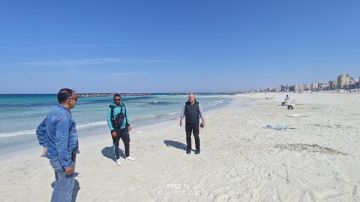 إخلاء النخيل .. حملات رقابية على شواطئ العجمى غرب الإسكندرية إخلاء النخيل .. حملات رقابية على شواطئ العجمى غرب الإسكندرية