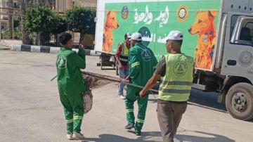 الدقهلية.. حملات مكثفة لمواجهة الكلاب الضالة بمدينة جمصة الدقهلية.. حملات مكثفة لمواجهة الكلاب الضالة بمدينة جمصة