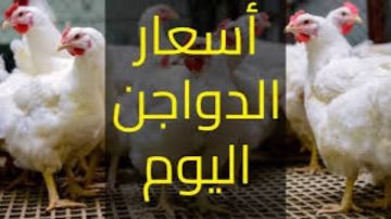 البيضاء بـ87 جنيها.. أسعار الدواجن اليوم الإثنين البيضاء بـ87 جنيها.. أسعار الدواجن اليوم الإثنين