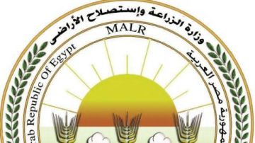بالأرقام.. الزراعة تحول المخلفات الحيوانية إلى ثروة اقتصادية خلال سبتمبر بالأرقام.. الزراعة تحول المخلفات الحيوانية إلى ثروة اقتصادية خلال سبتمبر