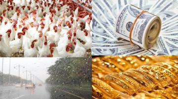 أخبار التوك شو كيلو الدواجن بـ115 جنيها ومقترح لبيعها بخصم 25 عبر منافذ التموين.. مفاجأة بشأن الذهب والدولار أخبار التوك شو كيلو الدواجن بـ115 جنيها ومقترح لبيعها بخصم 25 عبر منافذ التموين.. مفاجأة بشأن الذهب والدولار