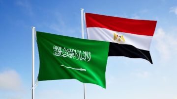 وزير الخارجية ورئيس المخابرات العامة يسلمان رسالة خطية من الرئيس السيسي إلى خادم الحرمين الشريفين وزير الخارجية ورئيس المخابرات العامة يسلمان رسالة خطية من الرئيس السيسي إلى خادم الحرمين الشريفين