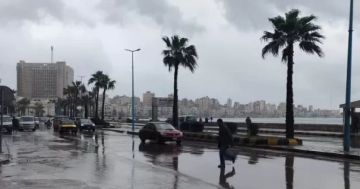 يرفع مخاطر الأمراض الفطرية.. مركز المناخ يحذر المزارعين من الرش قبل المطر